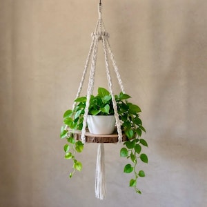 Pode incluir: Um suporte de plantas em macramé feito de corda off-white com uma prateleira circular de madeira com bordas de casca natural. Um vaso de cerâmica branca repousa sobre a prateleira, contendo uma planta jiboia verde com ramos pendentes.