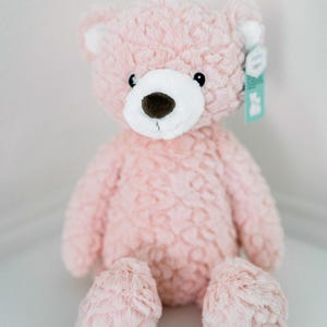 Pink Teddy Bear: Personalization Option, Plush, Stuffed Animal, Baby Shower, Baptism, Birthday, Kids Gift, Summer, Anniversary, Newborn Gift