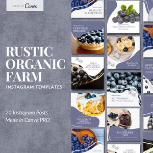 Modelli Instagram per fattorie rustiche: marketing di prodotti biologici (modificabili con Canva)