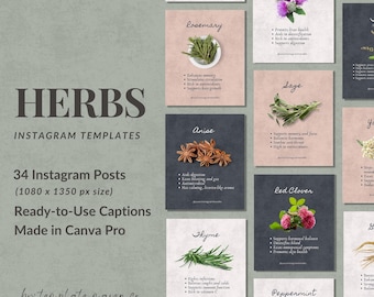 Herbs Instagram Templates | Canva Herbal Post Bundle
