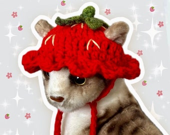 Crochet Strawberry Pet Cat Hat