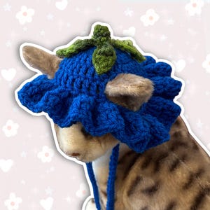Crochet Blueberry Pet Cat Hat