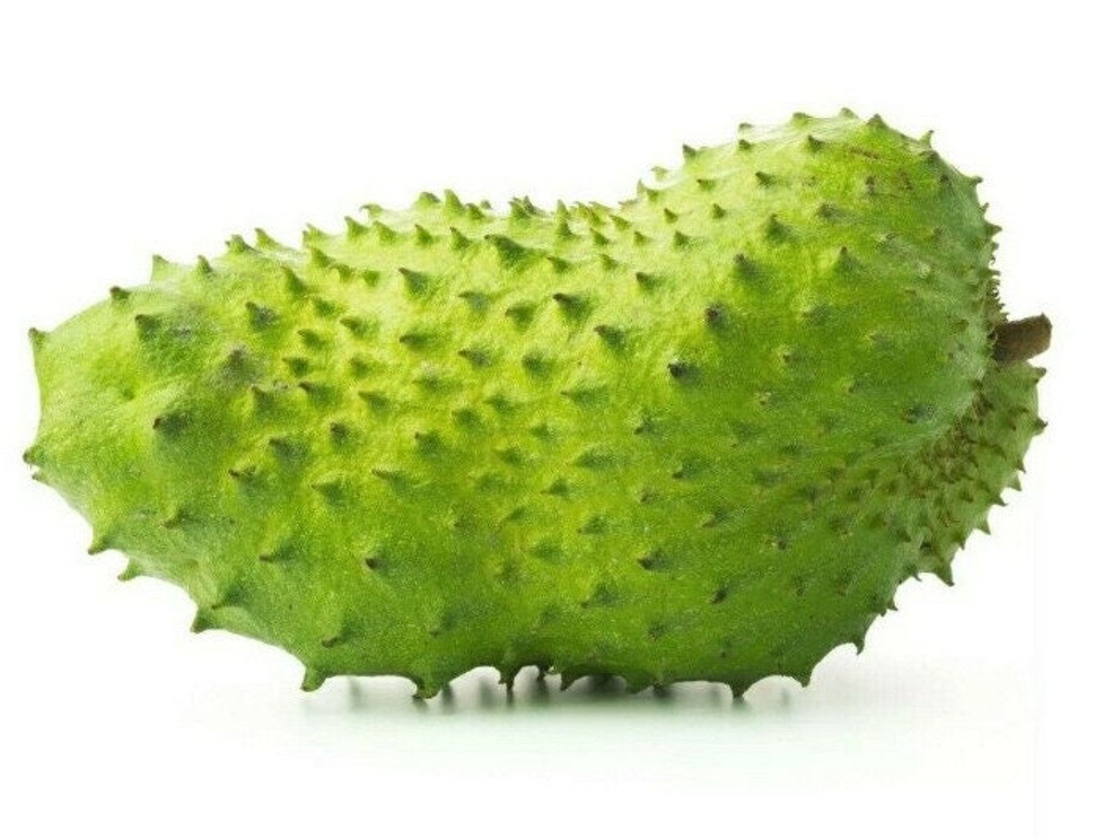 Soursop / Guanabana / Graviola / Annona Tropical Fresh Fruit - 900g
