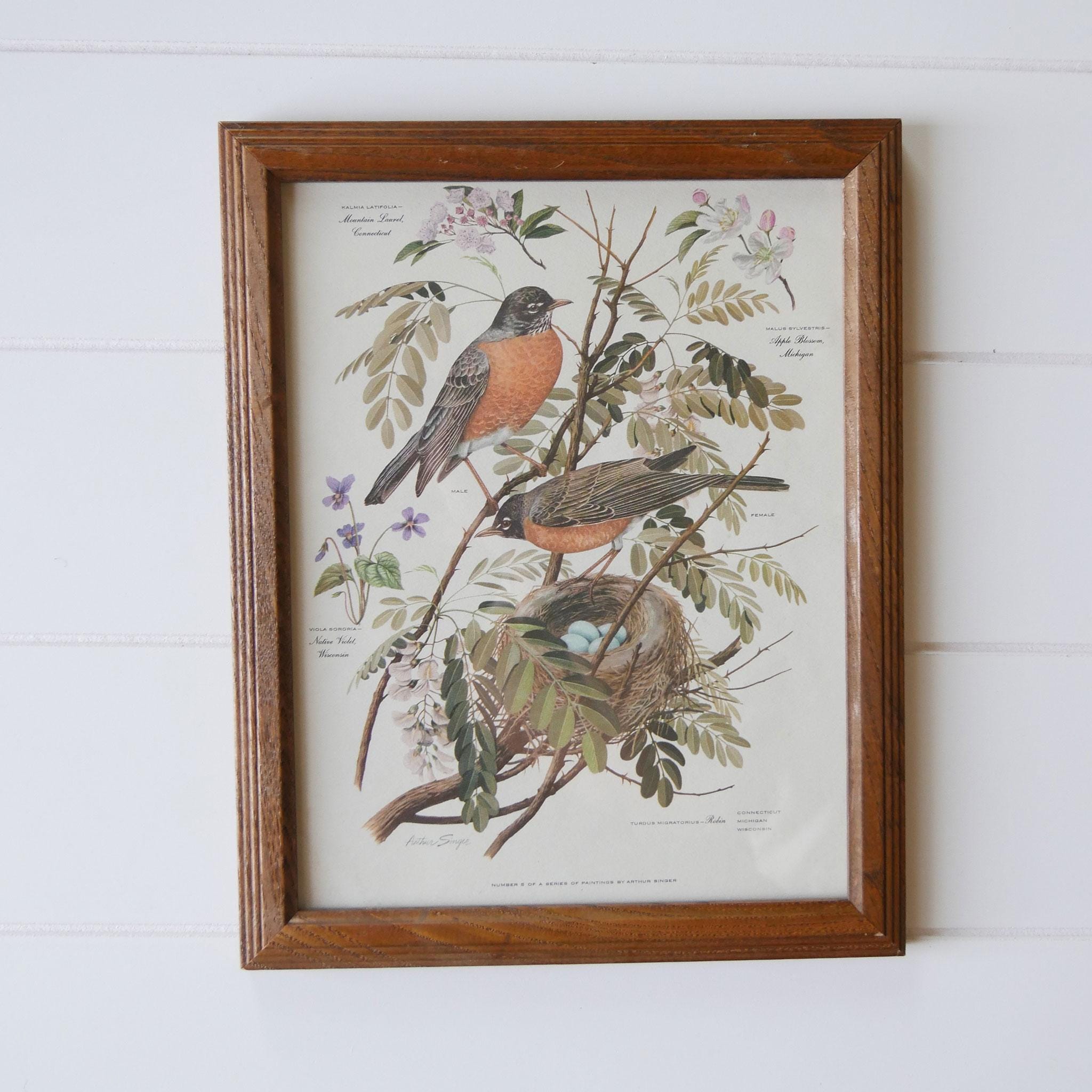 Arthur Singer Bird Prints - Etsy
