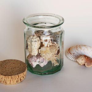 May include: A clear, hexagonal glass jar filled with various seashells. A cork stopper sits to the left, and a few seashells are scattered nearby. The jar has a green tint, and the shells are beige, white, and pink.