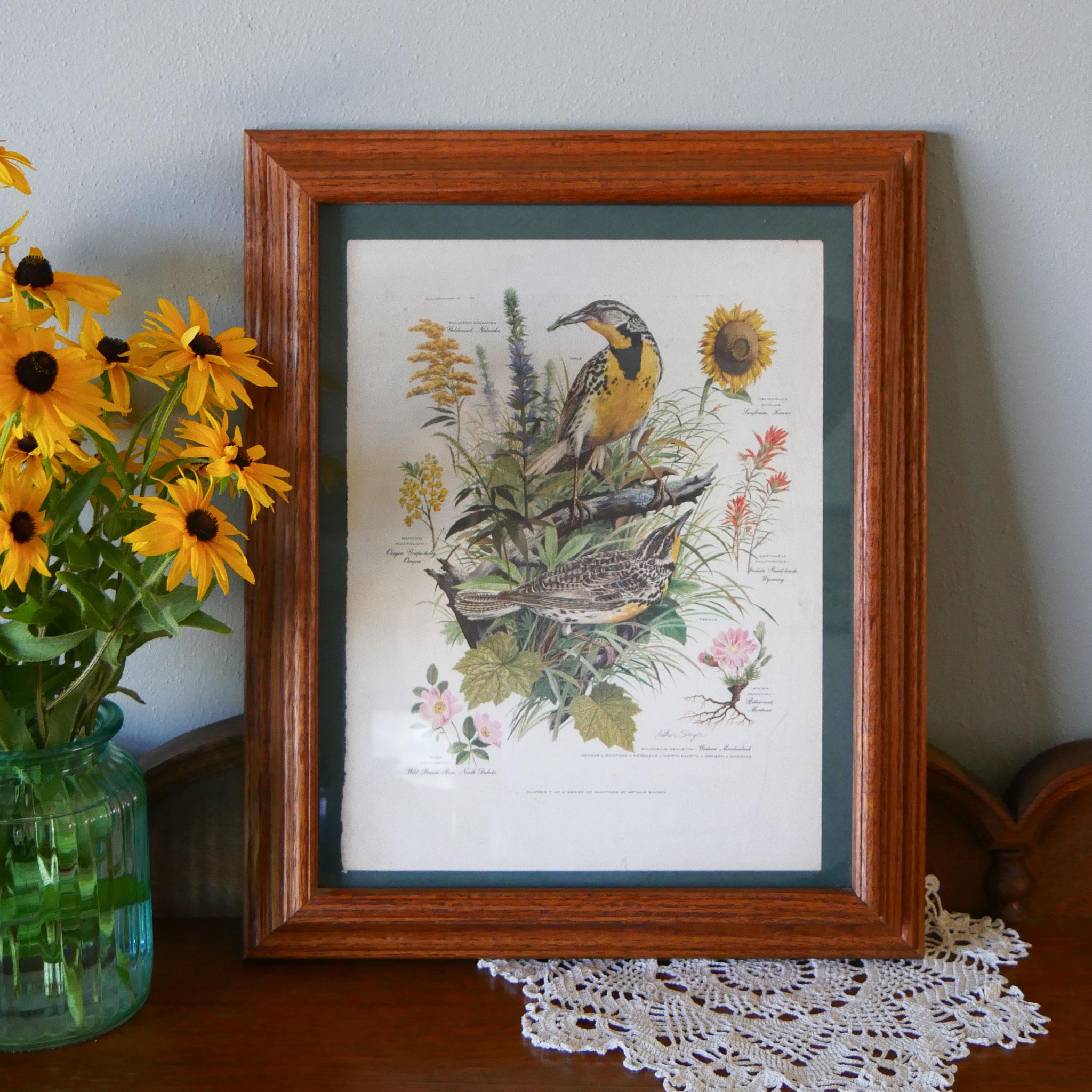 Arthur Singer Bird Prints - Etsy