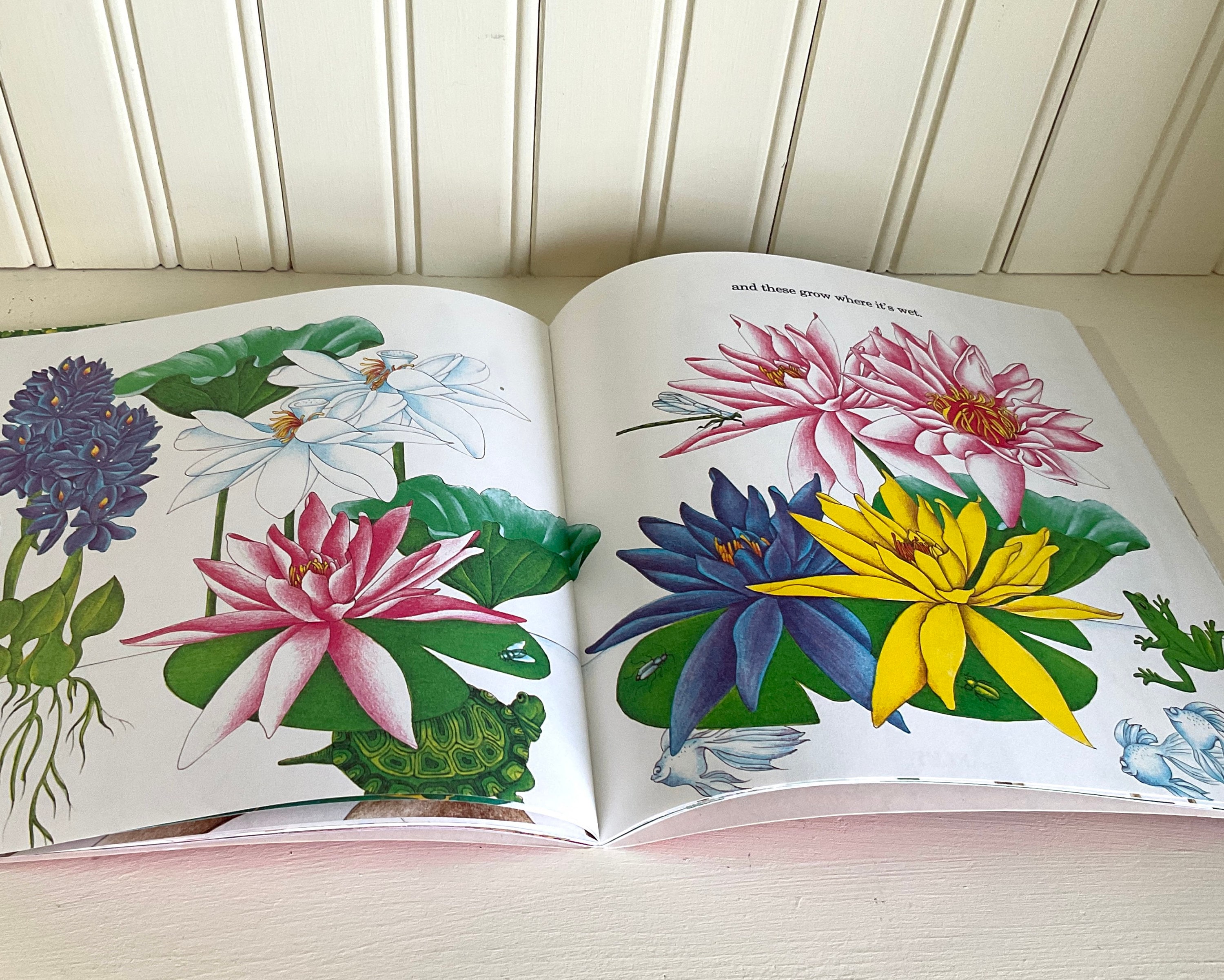 Vintage Flower Book The Reason For A Flower By Ruth Heller Etsy 