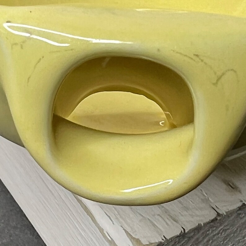 Vintage Ceramic Gravy Boat W/ Handle Seperator Pale Yellow Persian