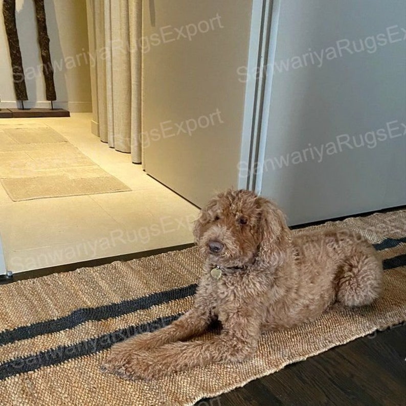 May include: A light brown dog with curly fur is lying on a natural fiber rug with black stripes. The rug is on a wooden floor.