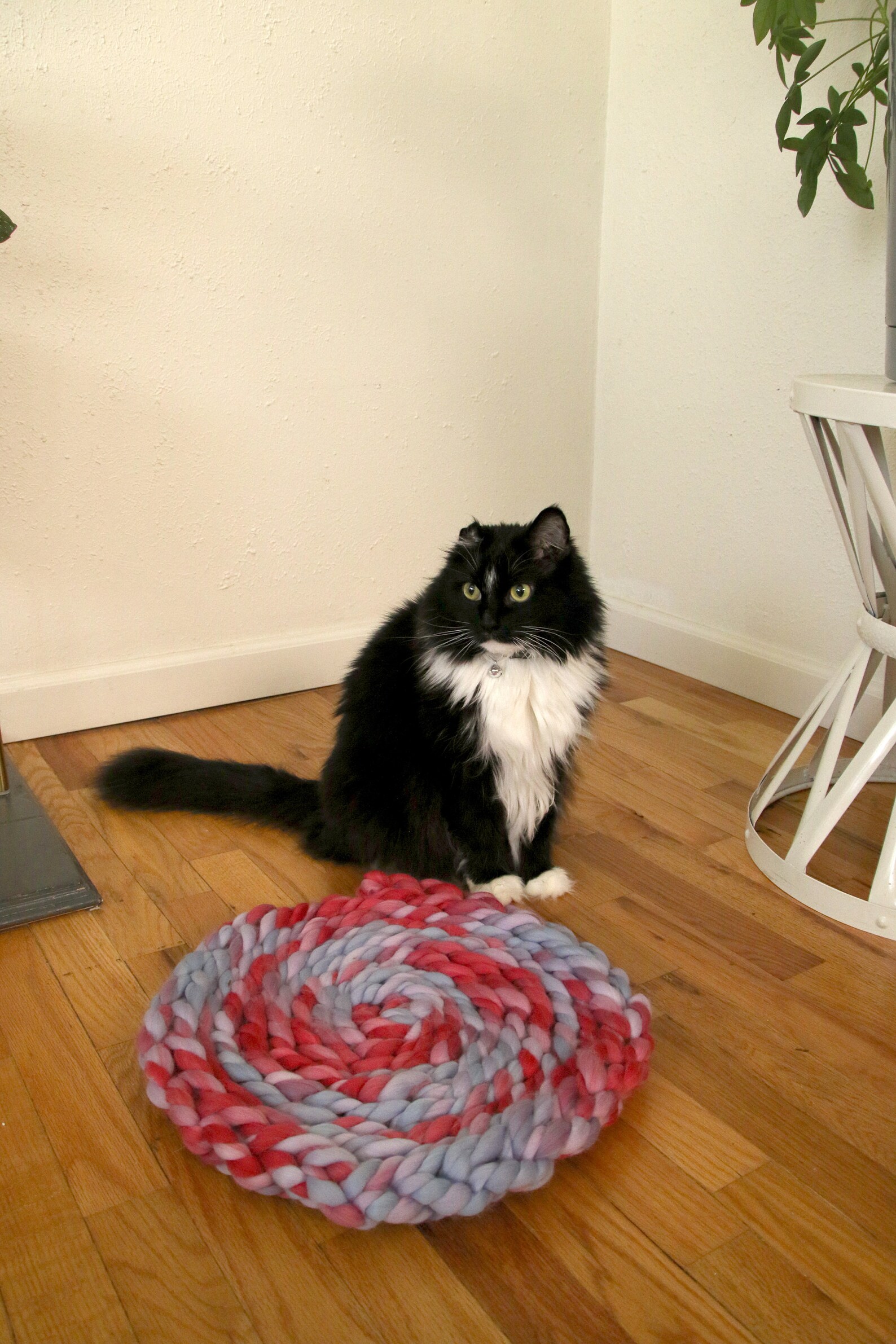 Chunky Crocheted Bulky Yarn Cat Bed in Red and Lavendar Etsy