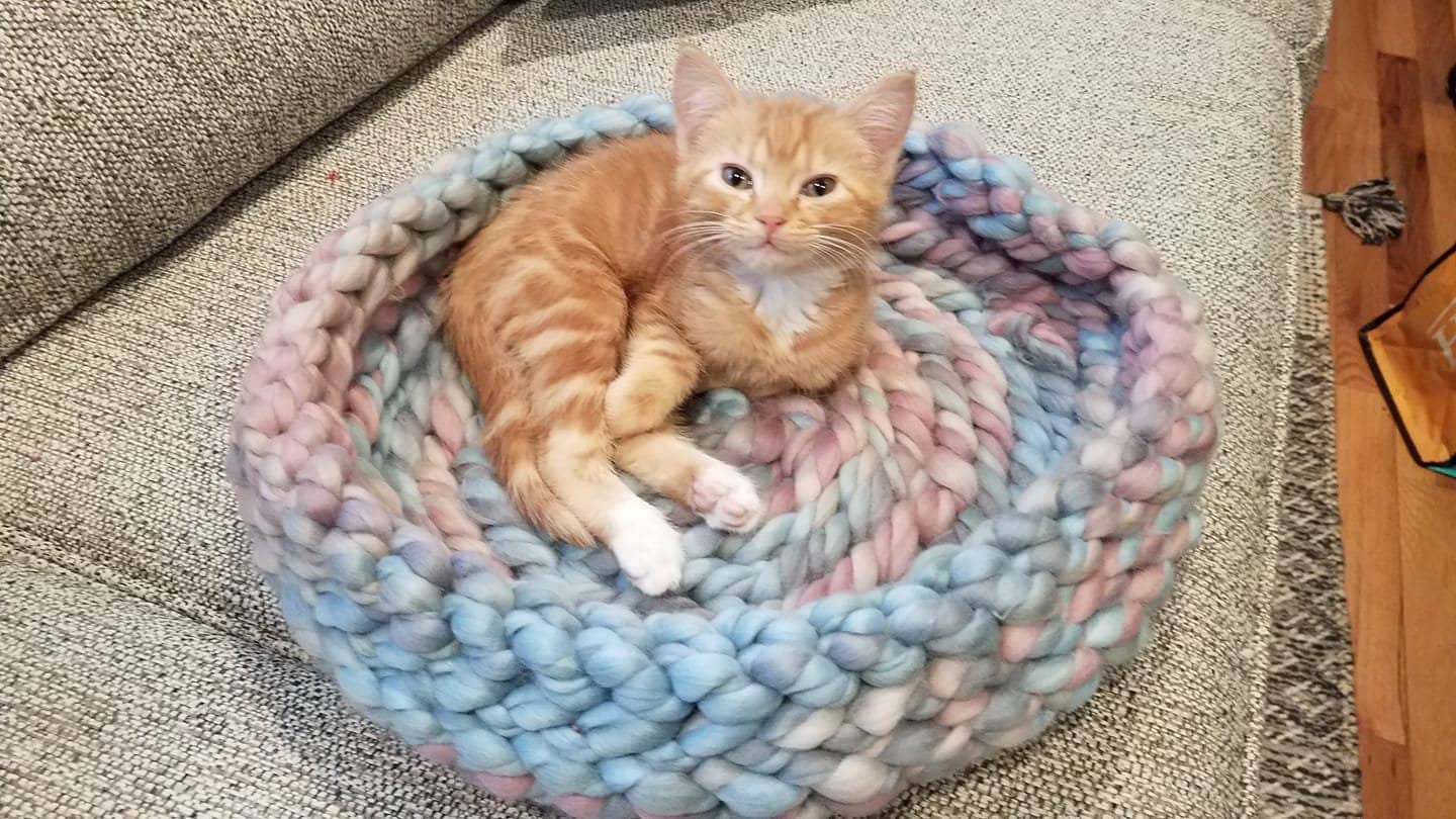 Chunky Crocheted Bulky Yarn Cat Bed in Pastel Etsy