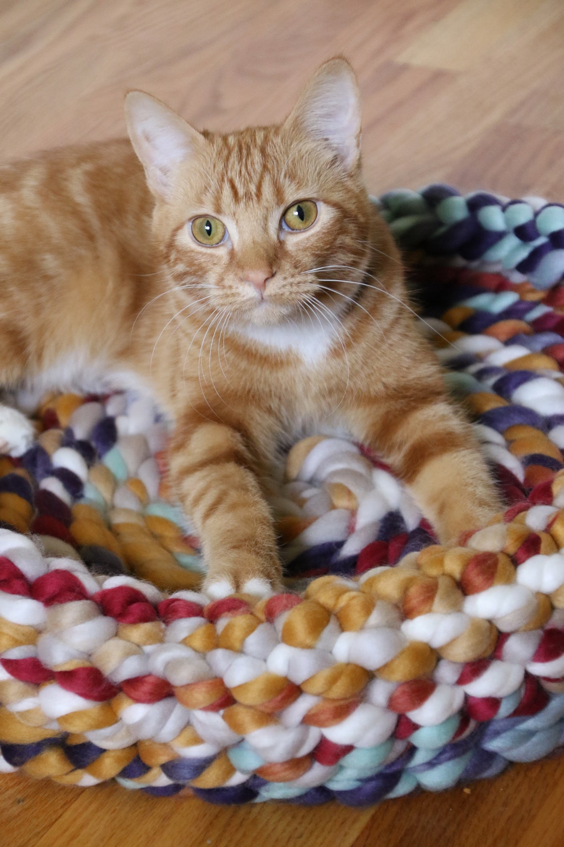 Chunky Crocheted Bulky Yarn Cat Bed in Multi Color Etsy