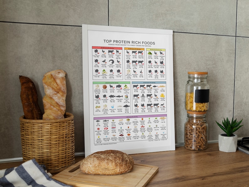 Protein Chart Top Protein Rich Foods for Keto Diet Meal Planning, High