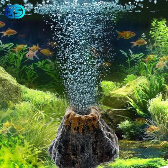 aquarium volcano