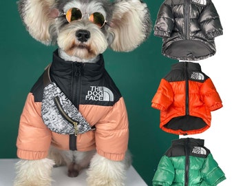 expensive dog clothes