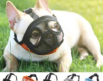 british bulldog muzzle