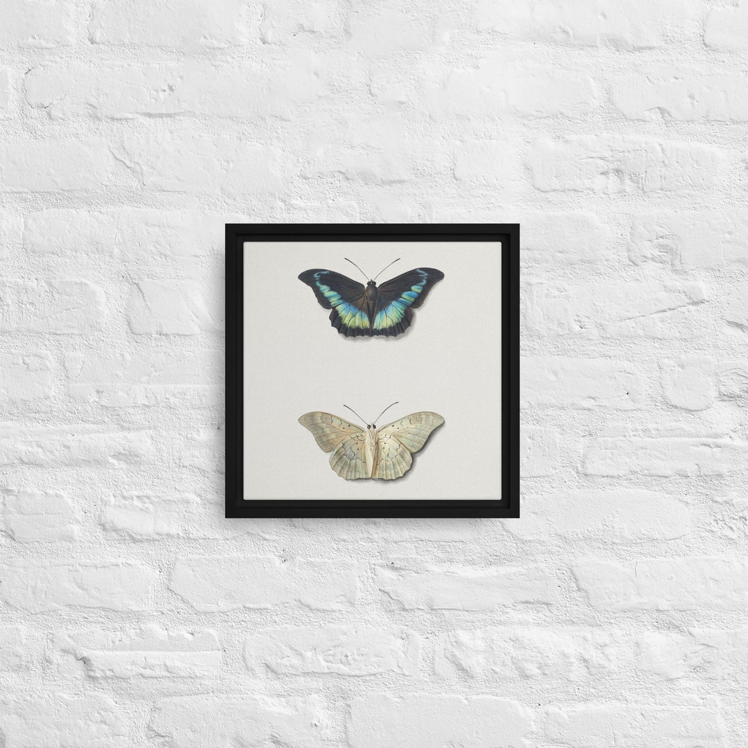 Butterfly and Moth Print Etsy