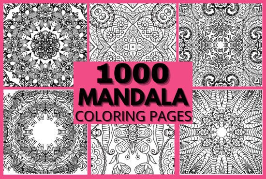 Mandala Adult Coloring Pages Floral Mandala Easy Coloring | Etsy