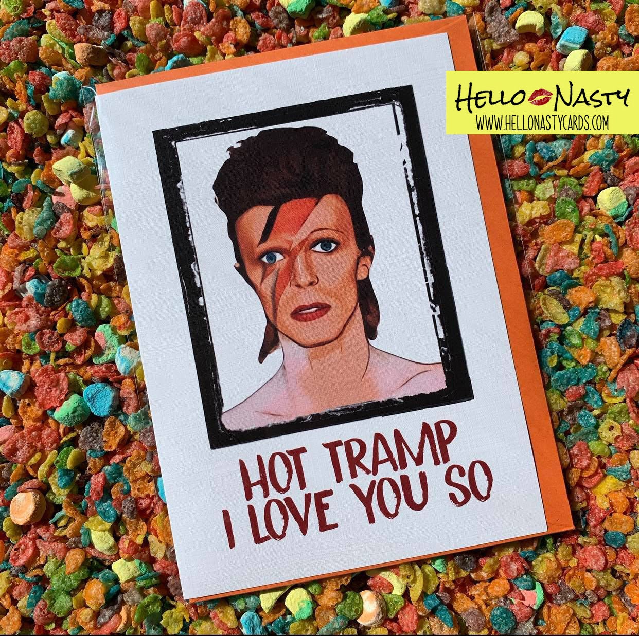 David Bowie Music Poster Hot Tramp I Love You So Quote Wall 