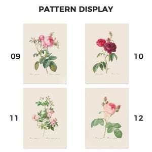 Pu&ograve; includere: Quattro stampe artistiche botaniche con illustrazioni dettagliate di rose. Le stampe presentano rose in tonalit&agrave; di rosa e rosso, con foglie verdi, su uno sfondo color crema. Il testo "PATTERN DISPLAY" &egrave; in alto.
