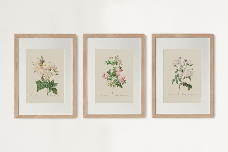 Pu&ograve; includere: Tre stampe botaniche incorniciate con illustrazioni dettagliate di rose. Le stampe presentano varie variet&agrave; di rose con fiori bianchi, rosa e gialli e fogliame verde. Ogni stampa &egrave; incorniciata in una cornice di legno marrone chiaro.