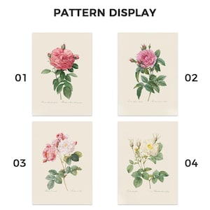 Pu&ograve; includere: Quattro stampe artistiche botaniche con rose. Le stampe presentano illustrazioni dettagliate di rose rosa e bianche con fogliame verde su sfondo crema. Il testo "PATTERN DISPLAY" &egrave; in alto.