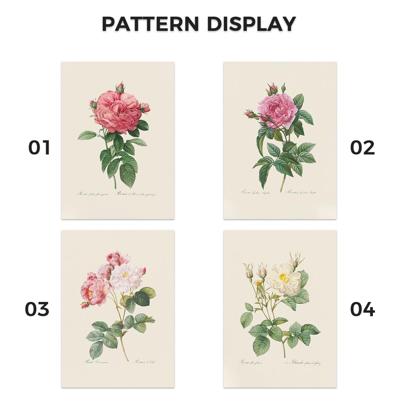 Pu&ograve; includere: Quattro stampe artistiche botaniche con rose. Le stampe presentano illustrazioni dettagliate di rose rosa e bianche con fogliame verde su sfondo crema. Il testo "PATTERN DISPLAY" &egrave; in alto.