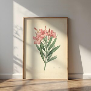 Puede incluir: Una impresión botánica enmarcada con una ilustración detallada de flores de adelfa rosas y hojas verdes. La obra de arte está sobre un fondo color crema, con el nombre botánico en escritura. El marco es de color marrón claro.