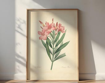 Vintage nerium-oleanderprint: Franse botanische kunst