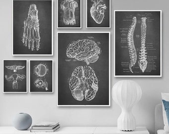 Human Anatomy Artworks | Medical Wall Pictures | Muscle Skeleton Vintage Posters | Canvas Art Prints | Education Paintings | Wall Decor