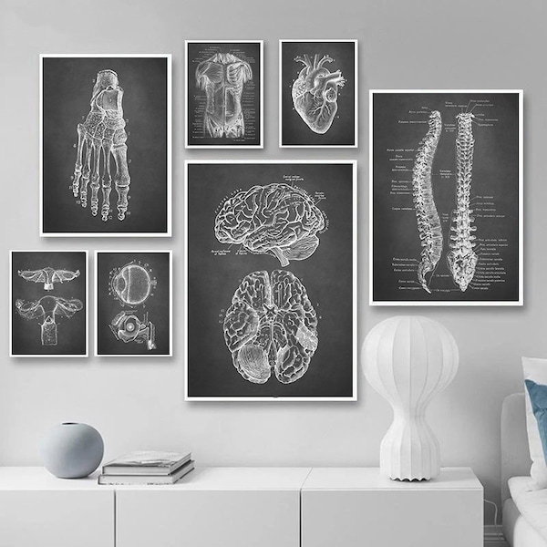 Kunstwerken van de menselijke anatomie | Medische muurafbeeldingen | Spier skelet vintage posters | Canvaskunstafdrukken | Educatie Schilderijen | Muurdecoratie