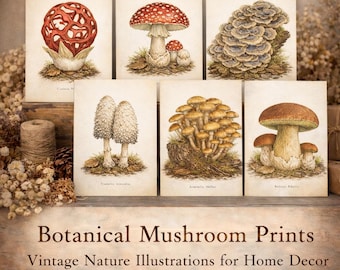 Vintage paddenstoelenprint, illustratie botanische schimmels, natuurdecor