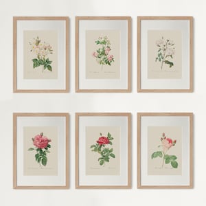 Vintage wall decoration, Vintage Botanical Gallery wall, Botanical Prints, Vintage Floral Prints, French Country Farmhouse Prints, Unframed