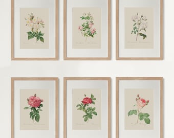 Vintage botanische bloemenprint: Franse landelijke muurkunst