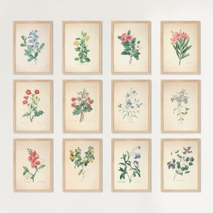 Vintage wall decoration, Retro floral wall art, Botanical Prints, Vintage Floral Prints, French Country Farmhouse Prints, Botany Poster