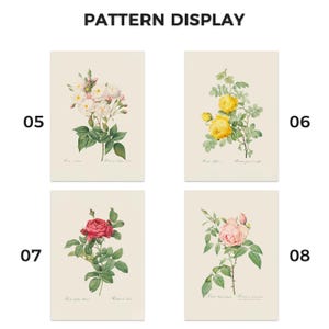 Pu&ograve; includere: Quattro stampe artistiche botaniche con rose bianche, gialle, rosse e rosa. Ogni stampa presenta una diversa variet&agrave; di rosa con illustrazioni dettagliate dei fiori e del fogliame. Le stampe sono presentate su uno sfondo neutro. Il testo recita "PATTERN DISPLAY".