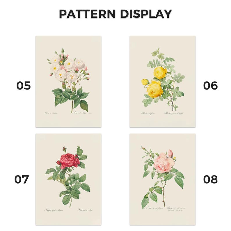 Pu&ograve; includere: Quattro stampe artistiche botaniche con rose bianche, gialle, rosse e rosa. Ogni stampa presenta una diversa variet&agrave; di rosa con illustrazioni dettagliate dei fiori e del fogliame. Le stampe sono presentate su uno sfondo neutro. Il testo recita "PATTERN DISPLAY".