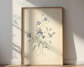 Vintage Campanule-clochetteprint: Franse botanische kunst
