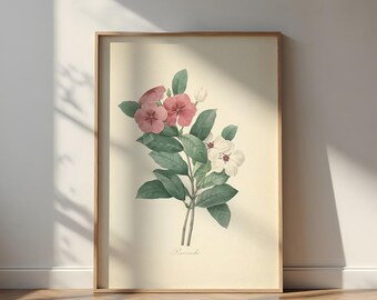 Vintage Catharanthus Roseus-print: retro botanische muurkunst