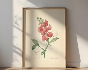 Vintage botanische print snoek: retro Franse boerderijmuurkunst