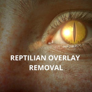 Reptilian Overlay Removal Session | Reptilian Overlay| Reptilian Overlay Removal Service