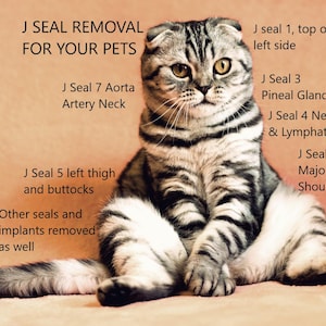 J Seal Removal for Pets