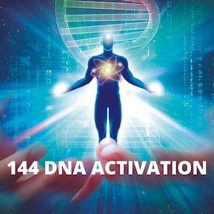 144 DNA Activation | DNA Activation