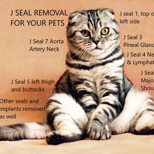 J Seal and Implant Removal for your Pets