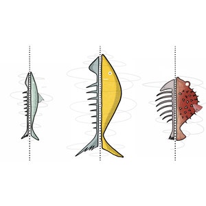 fish family | 30x40 prints