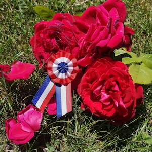 Tricolor cockade of the French Revolution - Made in France (5x11cm / 4.3x1.9in) french pin, blue white red, Napoleon bicorne..)
