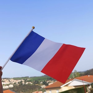 Lot of 10 tricolor French flags (National Day - July 14 - Republic - Napoleon - Patriot - Bastille)