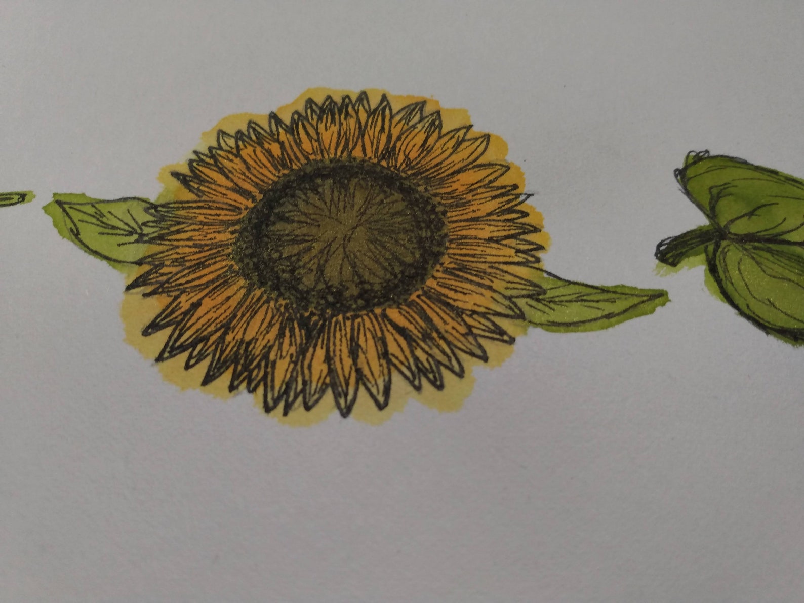 Sunflower Header Etsy