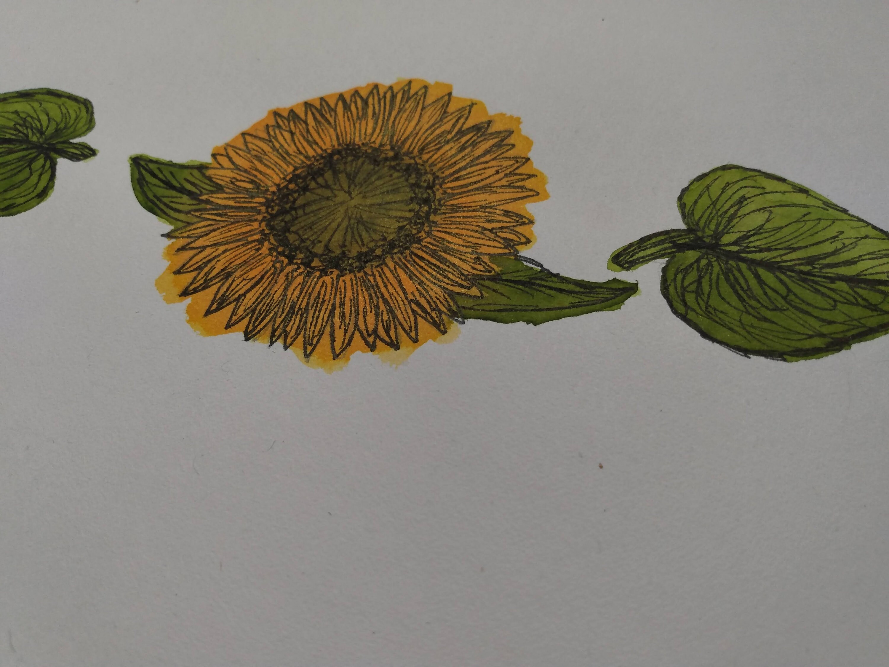 Sunflower Header Etsy