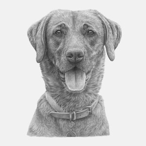 Custom Pet Portrait | Dog Portrait | Drawing from photo | Dog Drawing | Personalised Portraits | Animal Drawing | Pet Sketch